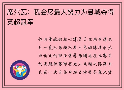 席尔瓦：我会尽最大努力为曼城夺得英超冠军