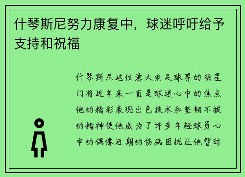 什琴斯尼努力康复中，球迷呼吁给予支持和祝福
